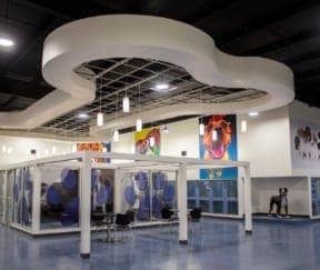 The Laurie P. Andrews PAWS Center – Edinburg, TX