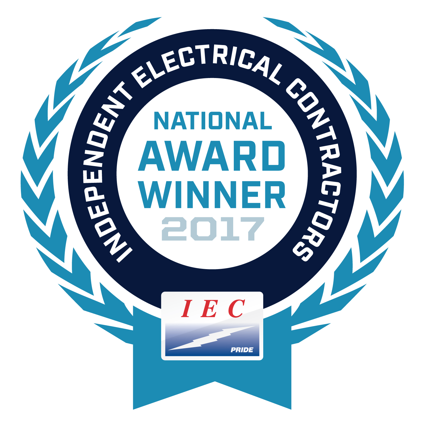 IEC National Award Winner 2017